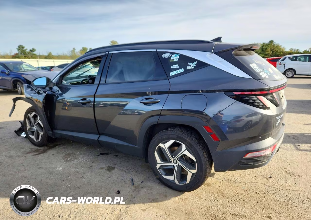 2023 Hyundai Tucson Limited VIN:5NMJECAEXPH192569 - 2
