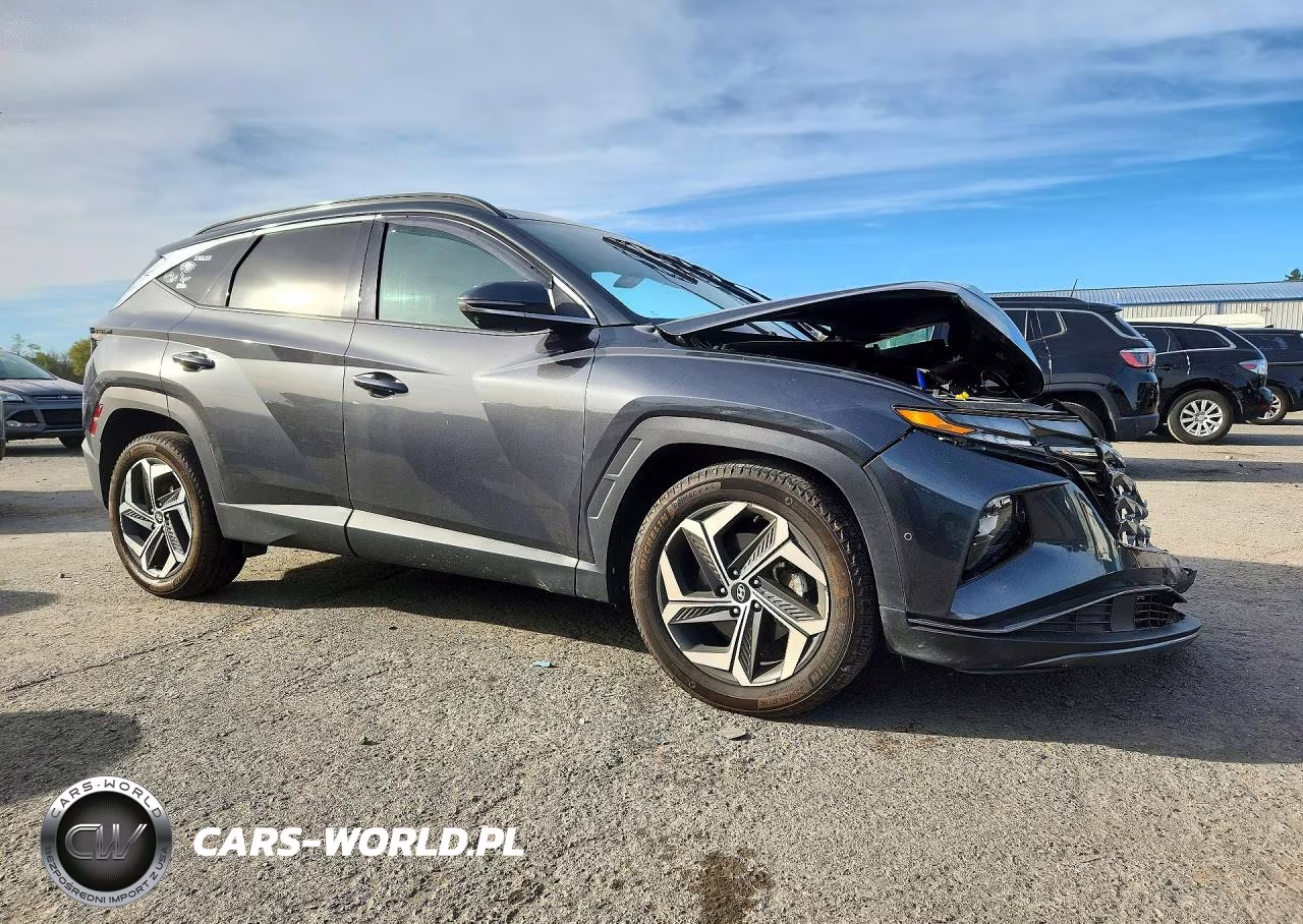2023 Hyundai Tucson Limited VIN:5NMJECAEXPH192569 - 4