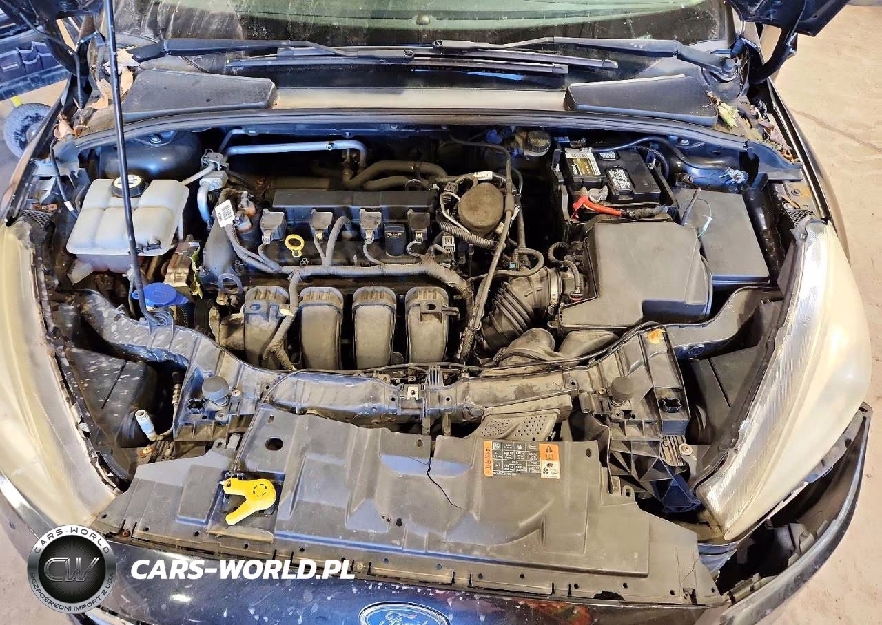 2015 Ford Focus Se VIN:1FADP3K21FL301158 - 12