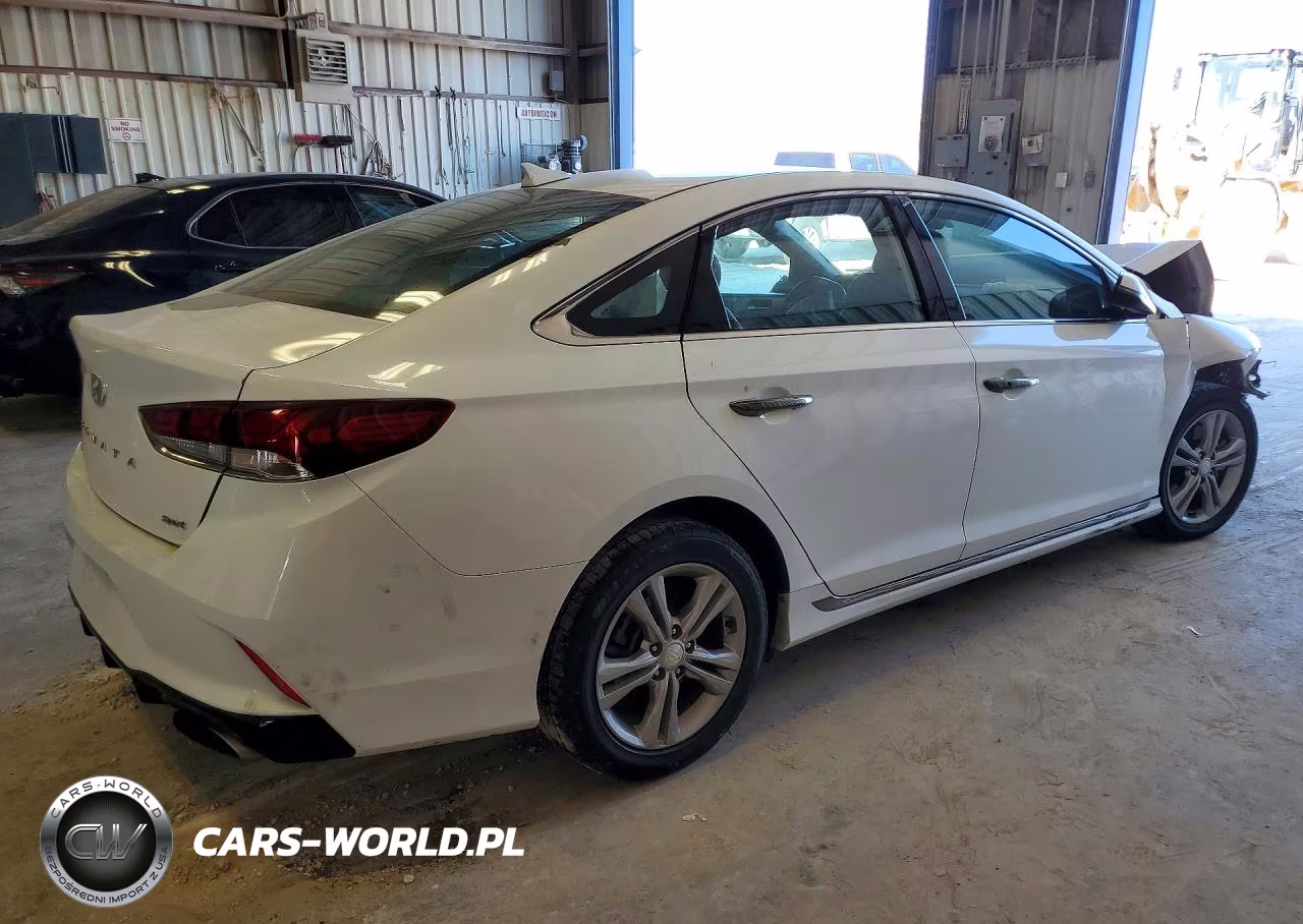 2019 Hyundai Sonata Sport VIN:5NPE34AF2KH804622 - 3