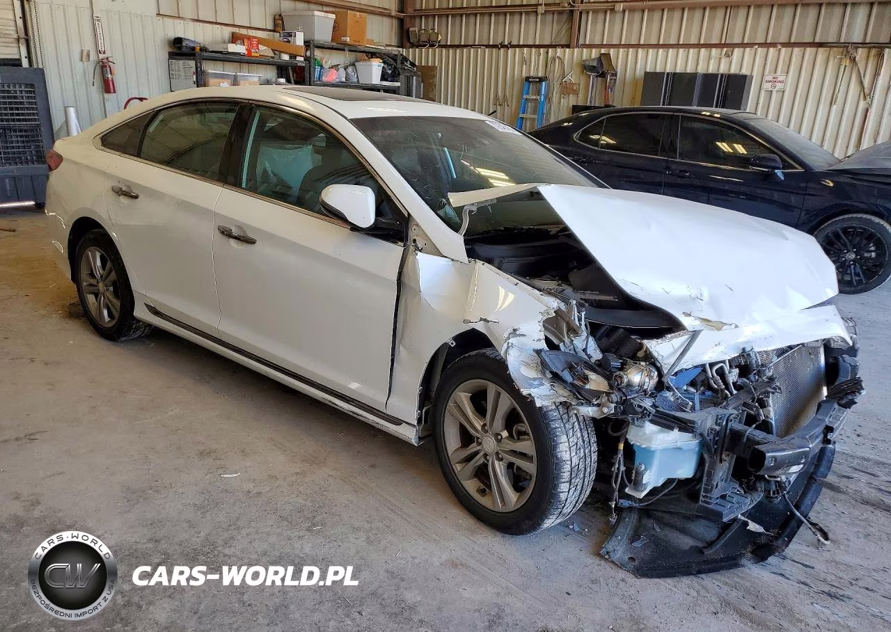2019 Hyundai Sonata Sport VIN:5NPE34AF2KH804622 - 4
