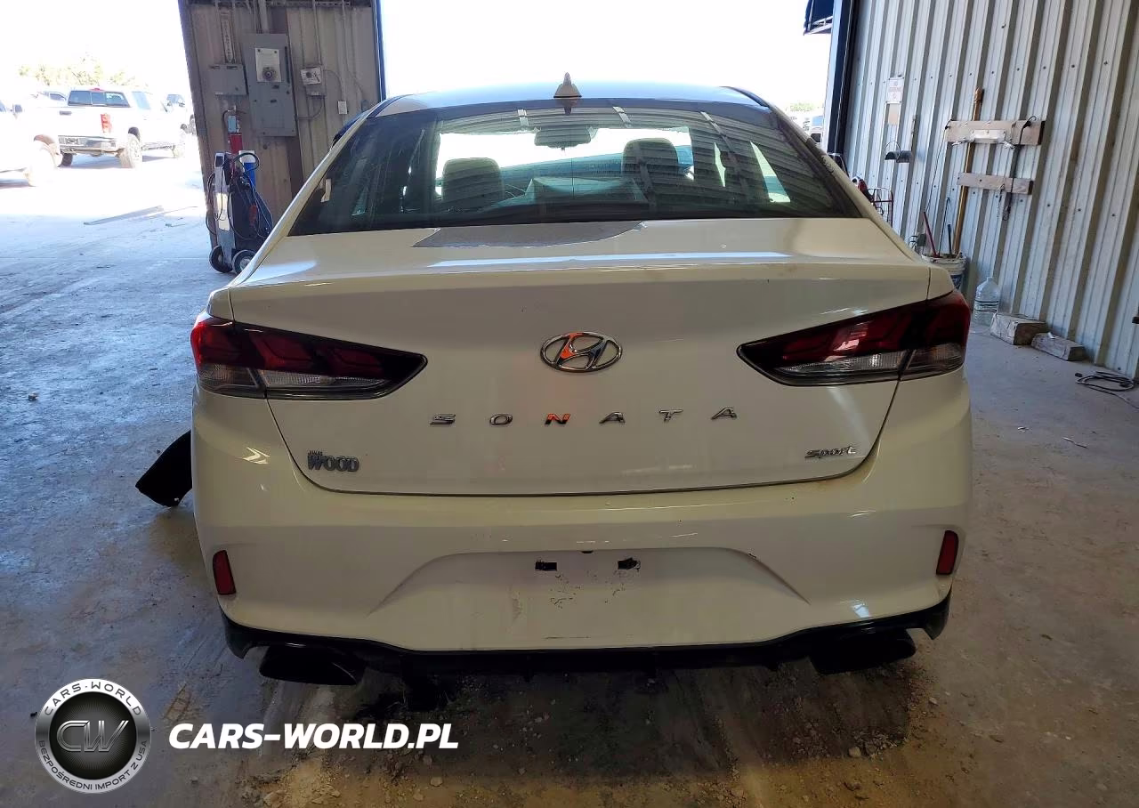 2019 Hyundai Sonata Sport VIN:5NPE34AF2KH804622 - 6