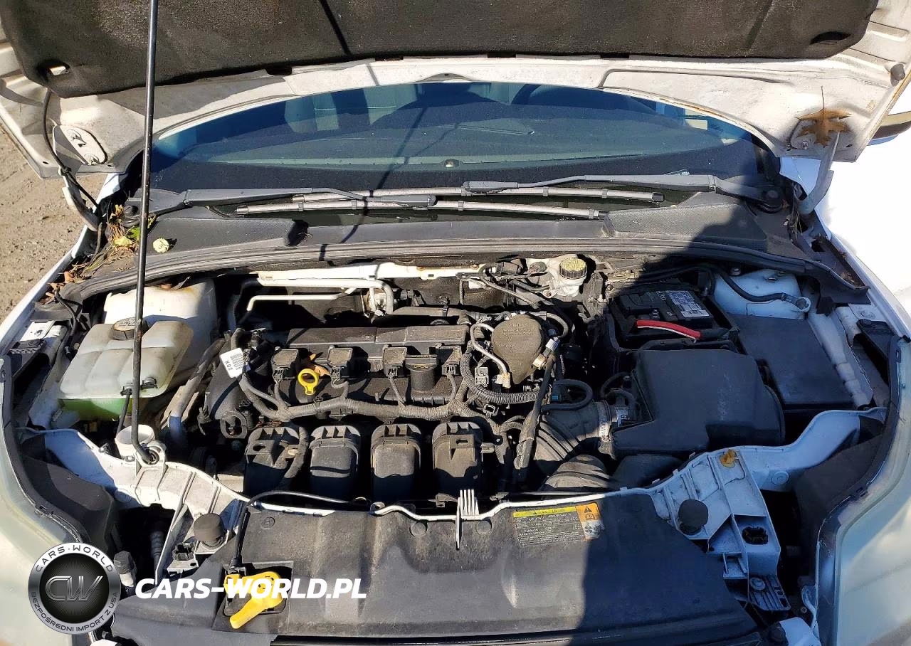 2012 Ford Focus Sel VIN:1FAHP3M22CL196124 - 12