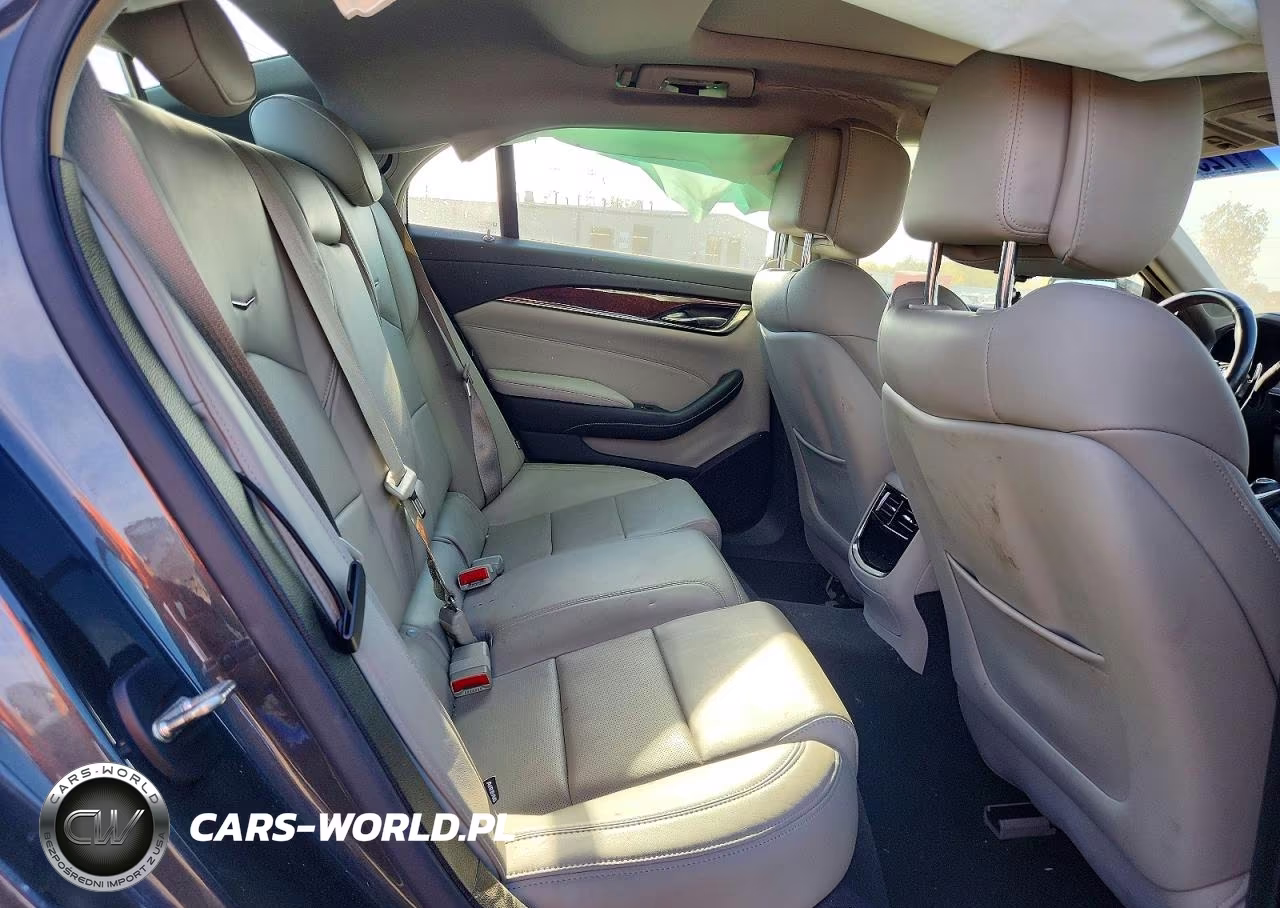 2014 Cadillac Cts Luxury Collection VIN:1G6AR5S3XE0194481 - 10