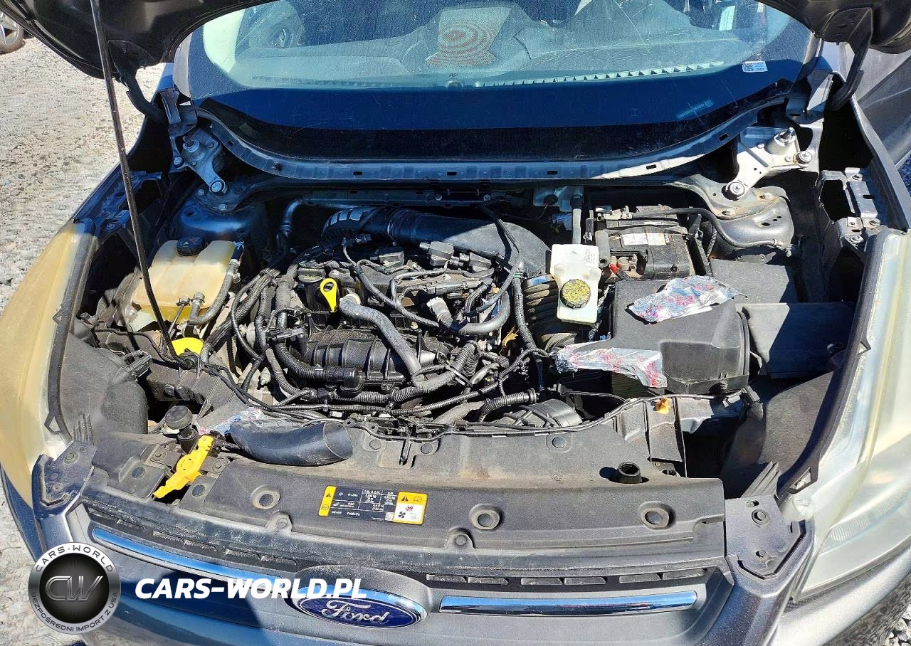 2014 Ford Escape Se VIN:1FMCU0GX9EUA12244 - 11