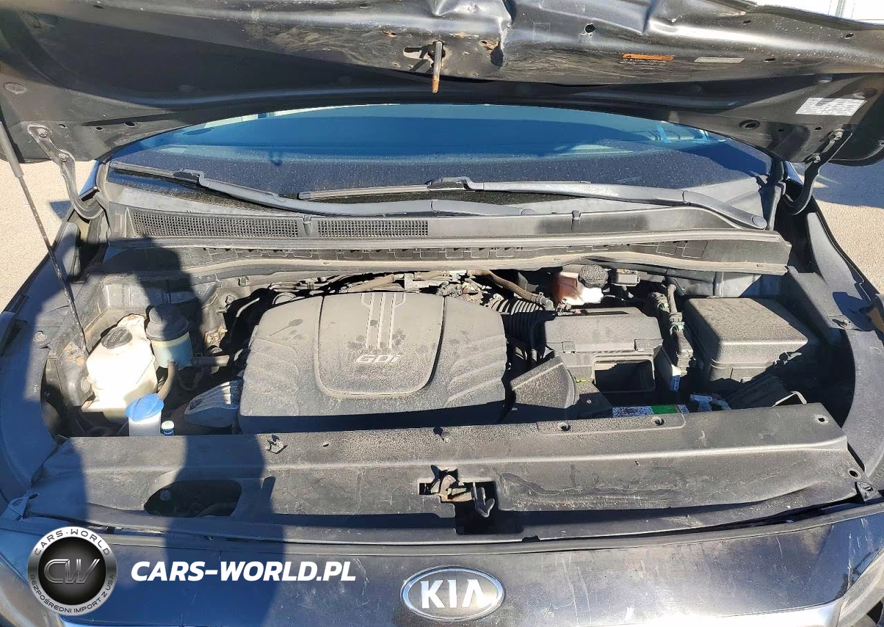 2016 Kia Sedona Lx VIN:KNDMB5C19G6212948 - 12