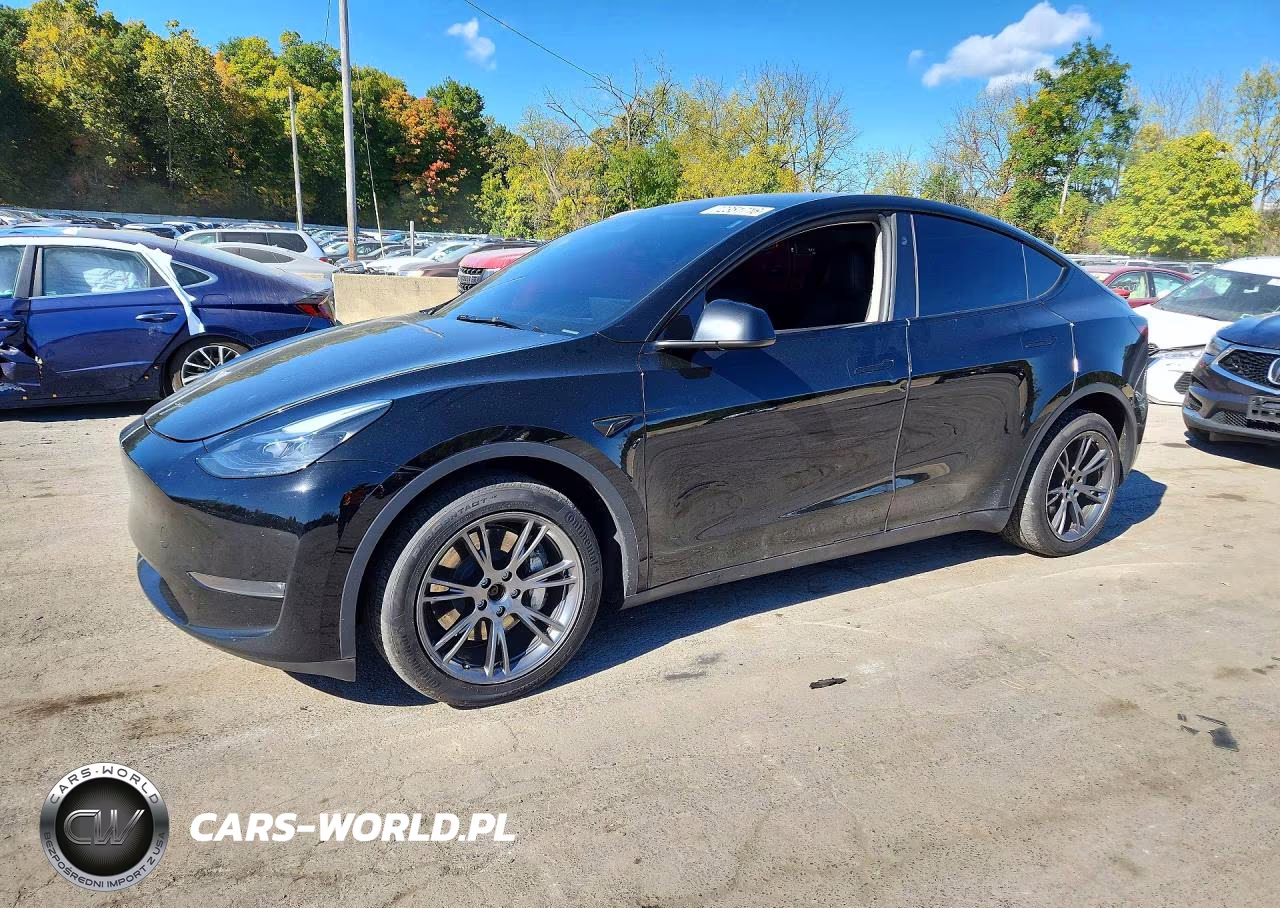 2024 Tesla Model Y VIN:7SAYGDEE0RA330553 - 1