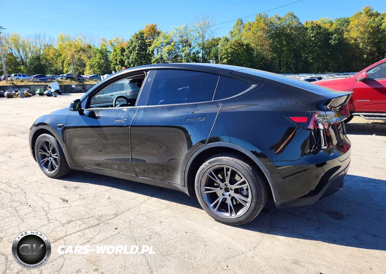 2024 Tesla Model Y VIN:7SAYGDEE0RA330553 - 2