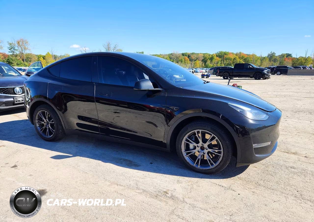 2024 Tesla Model Y VIN:7SAYGDEE0RA330553 - 4