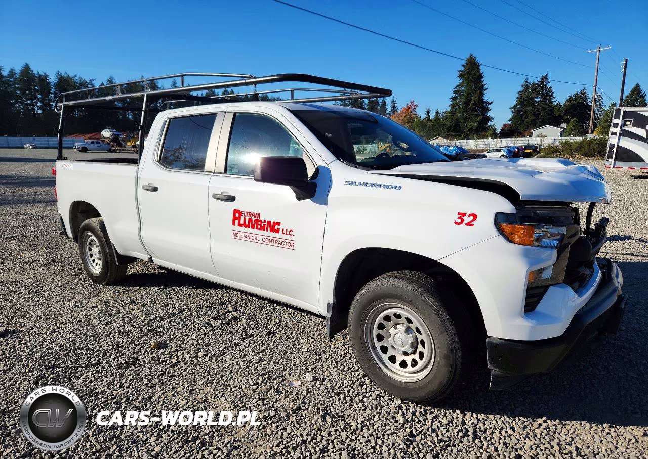 2023 Chevrolet Silverado K1500 VIN:3GCUDAED3PG366208 - 4