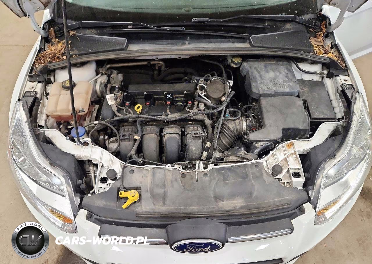 2014 Ford Focus Se VIN:1FADP3F29EL299989 - 11