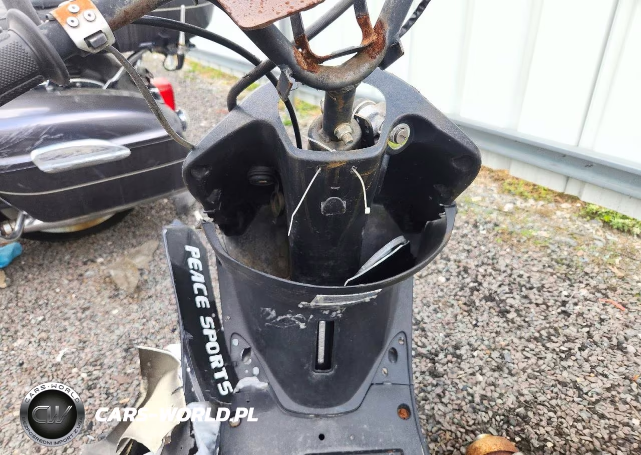 2020 Motor Scooter Other VIN:L9NTCBAE3L1009334 - 7