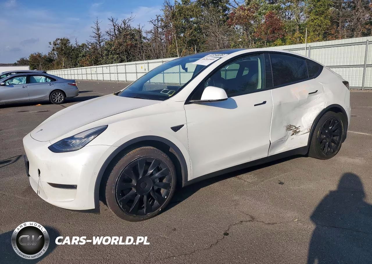 2021 Tesla Model Y Long Range Dual Motor All-Wheel Drive VIN:5YJYGAEE5MF199451 - 1