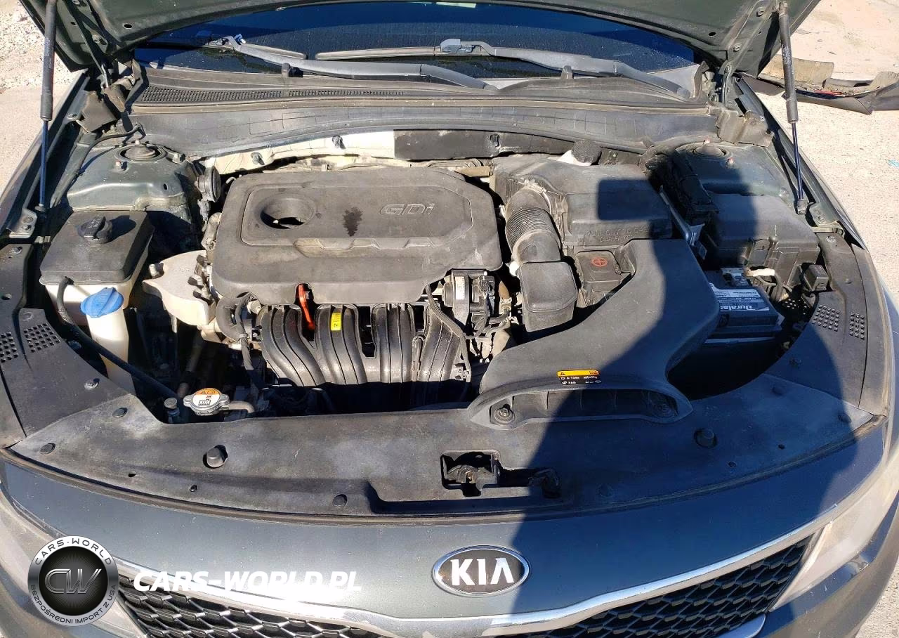 2016 Kia Optima Lx VIN:KNAGT4L36G5069997 - 11