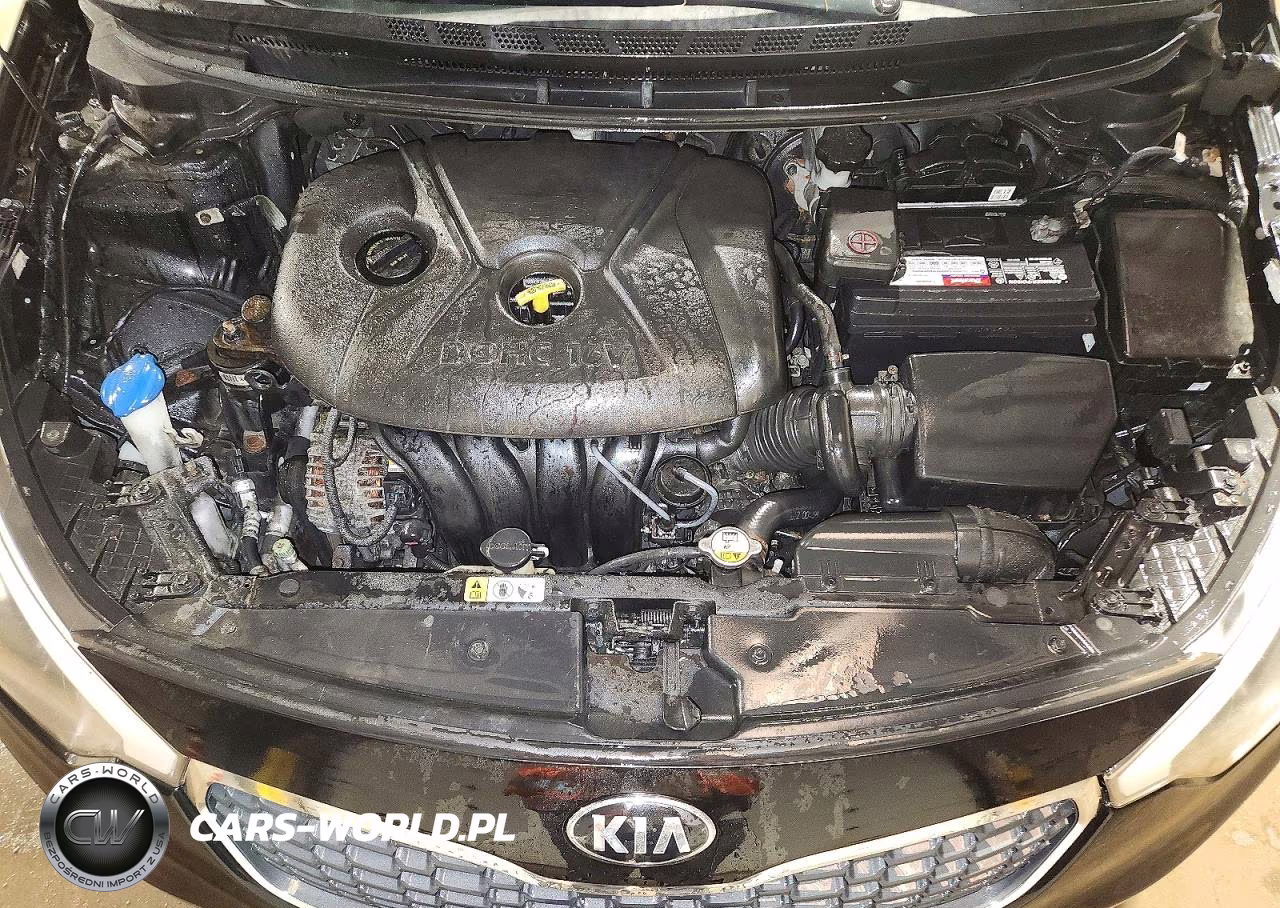 2015 Kia Forte Lx VIN:KNAFK4A68F5418541 - 11