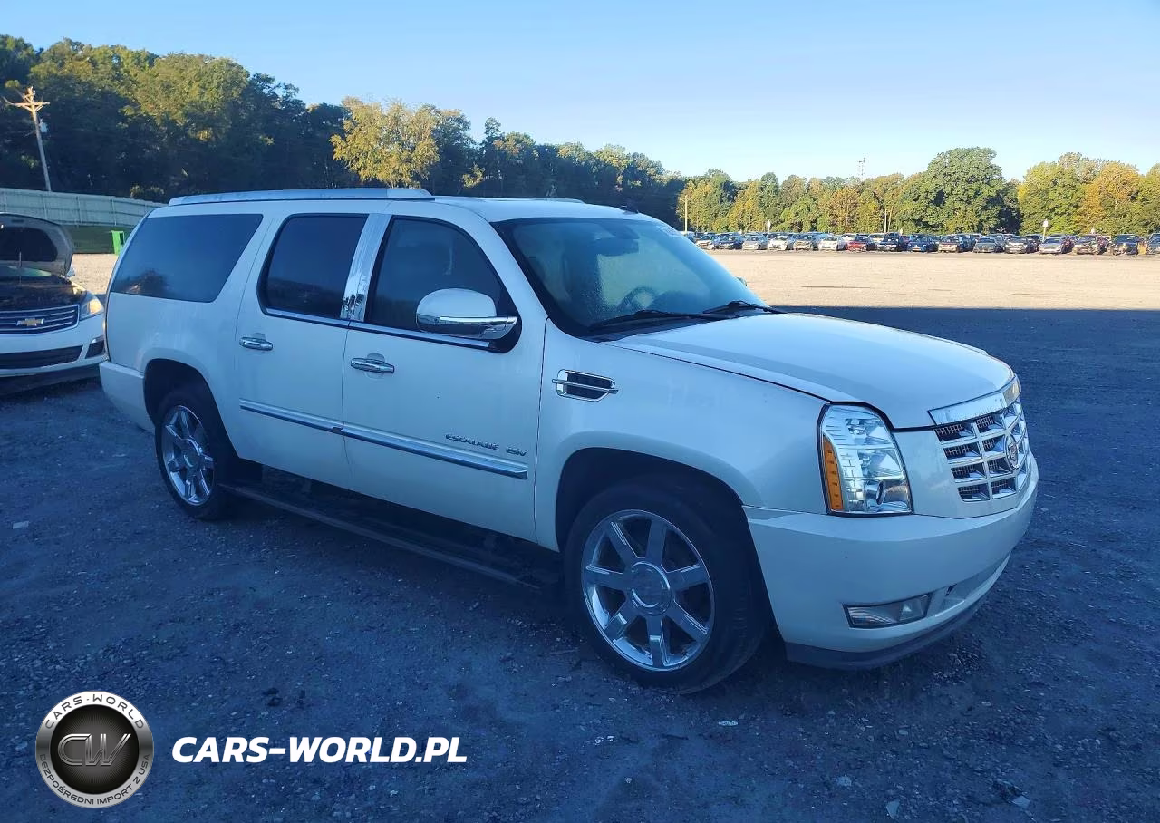 2011 Cadillac Escalade Esv Premium VIN:1GYS4JEF9BR102504 - 4
