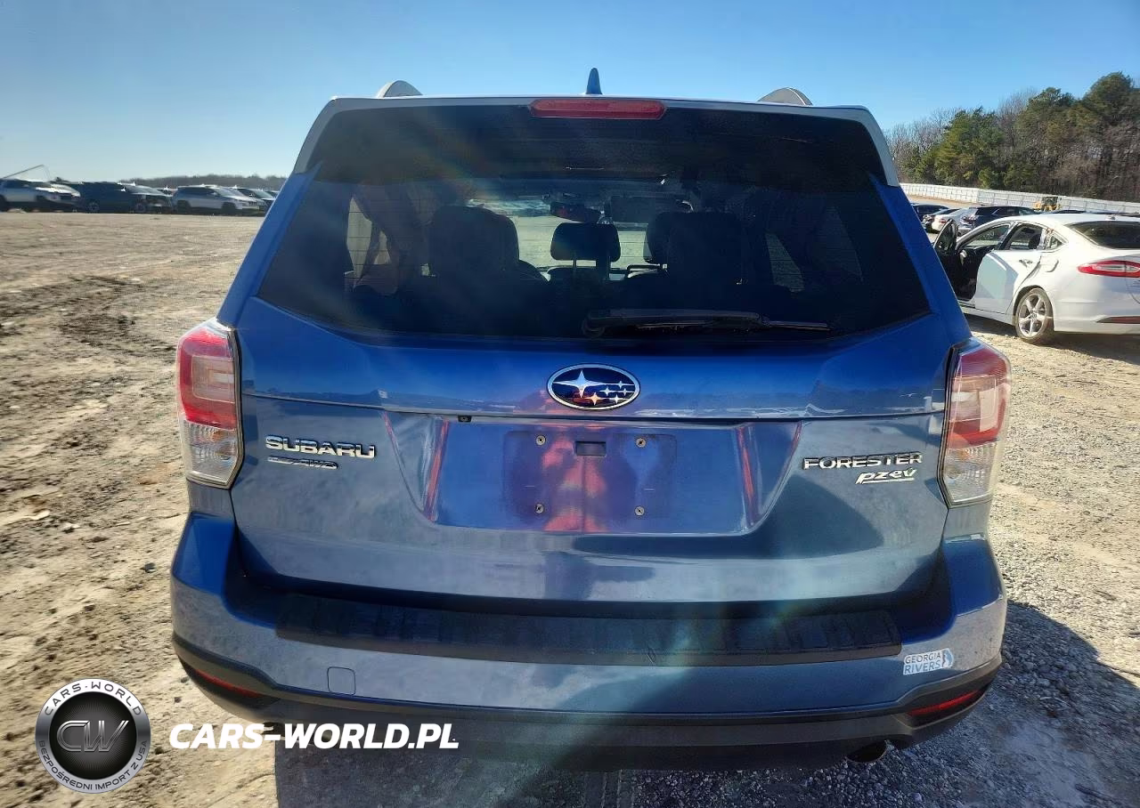 2017 Subaru Forester 2.5I Touring VIN:JF2SJATC6HH429840 - 6