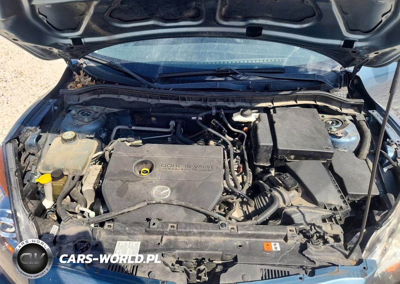 2010 Mazda 3 I VIN:JM1BL1SF8A1166446 - 11