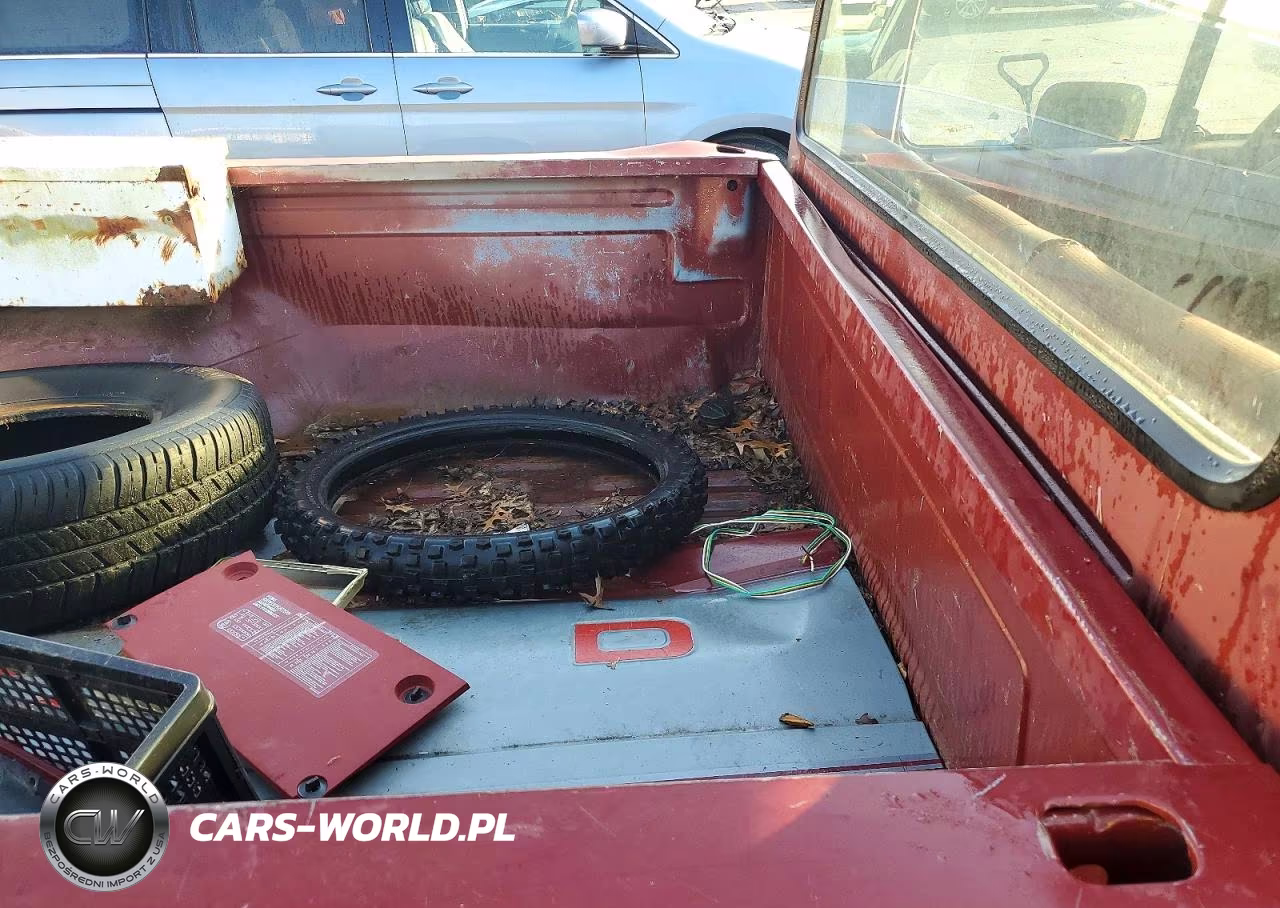 1989 Ford F150 VIN:1FTDF15Y6KLA43523 - 10