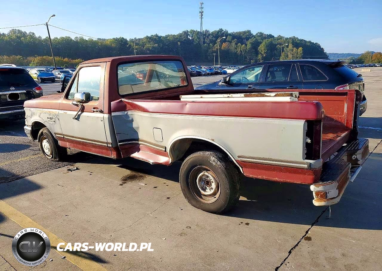 1989 Ford F150 VIN:1FTDF15Y6KLA43523 - 2