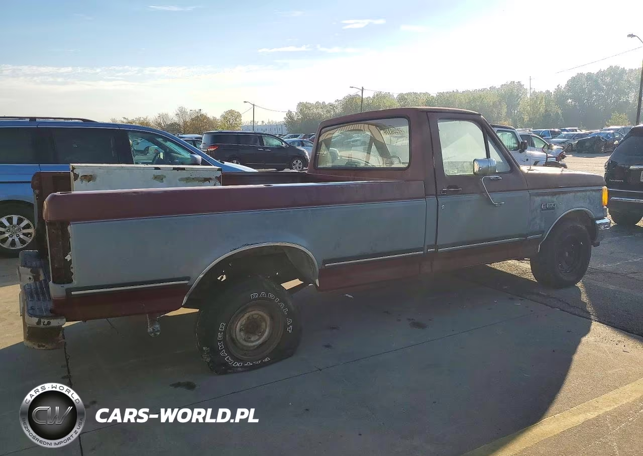1989 Ford F150 VIN:1FTDF15Y6KLA43523 - 3