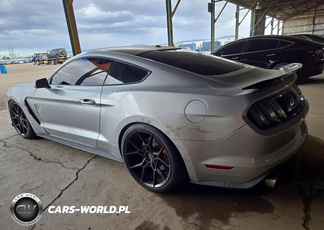 2015 Ford Mustang Gt VIN:1FA6P8CFXF5377019 - 2