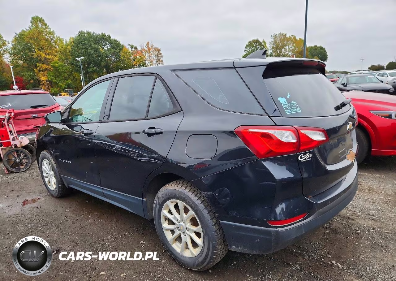2019 Chevrolet Equinox Ls VIN:2GNAXSEV4K6144653 - 2