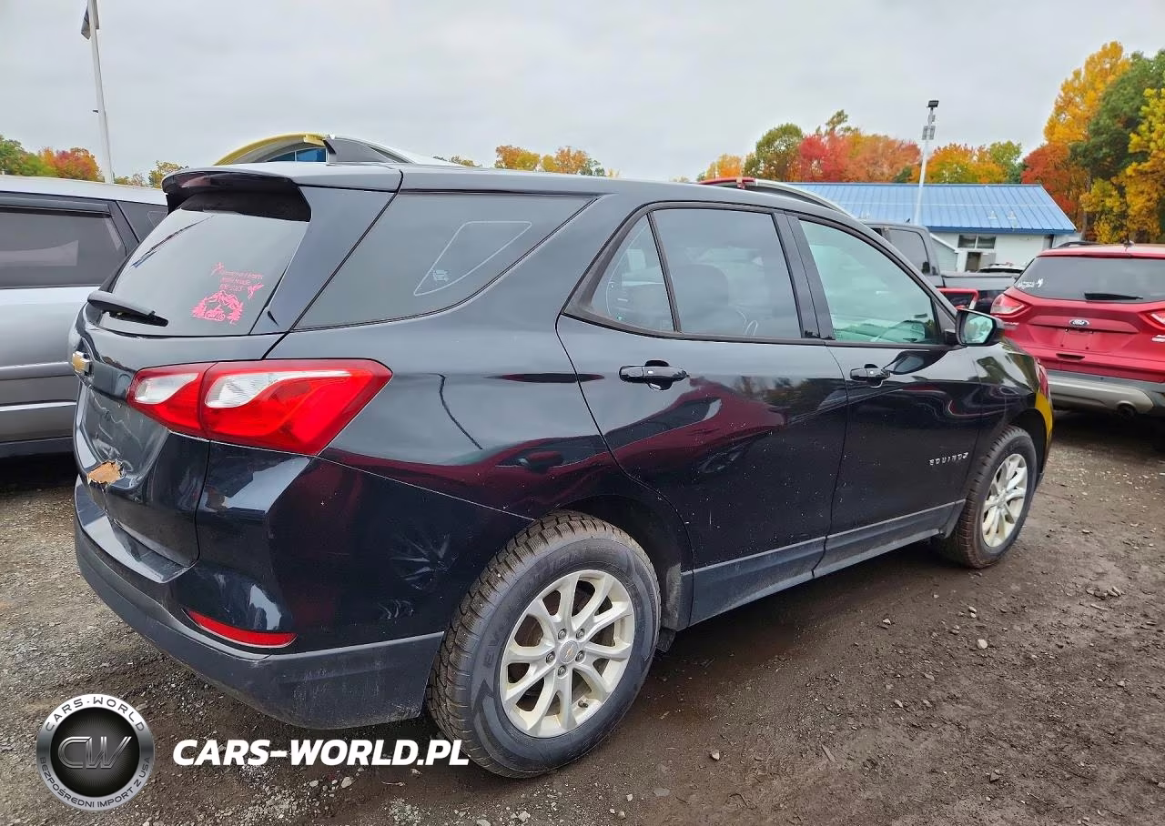 2019 Chevrolet Equinox Ls VIN:2GNAXSEV4K6144653 - 3