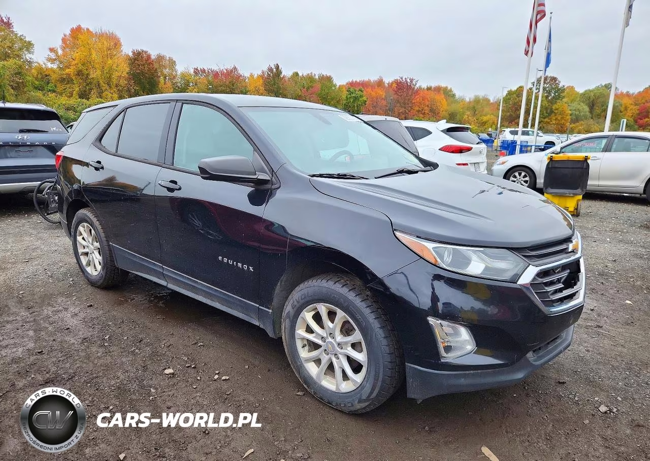 2019 Chevrolet Equinox Ls VIN:2GNAXSEV4K6144653 - 4