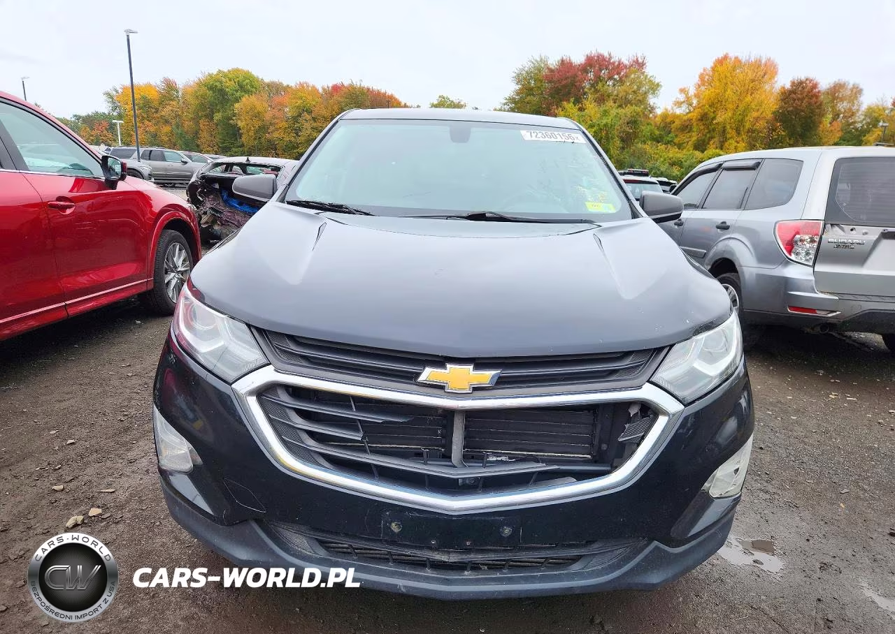 2019 Chevrolet Equinox Ls VIN:2GNAXSEV4K6144653 - 5