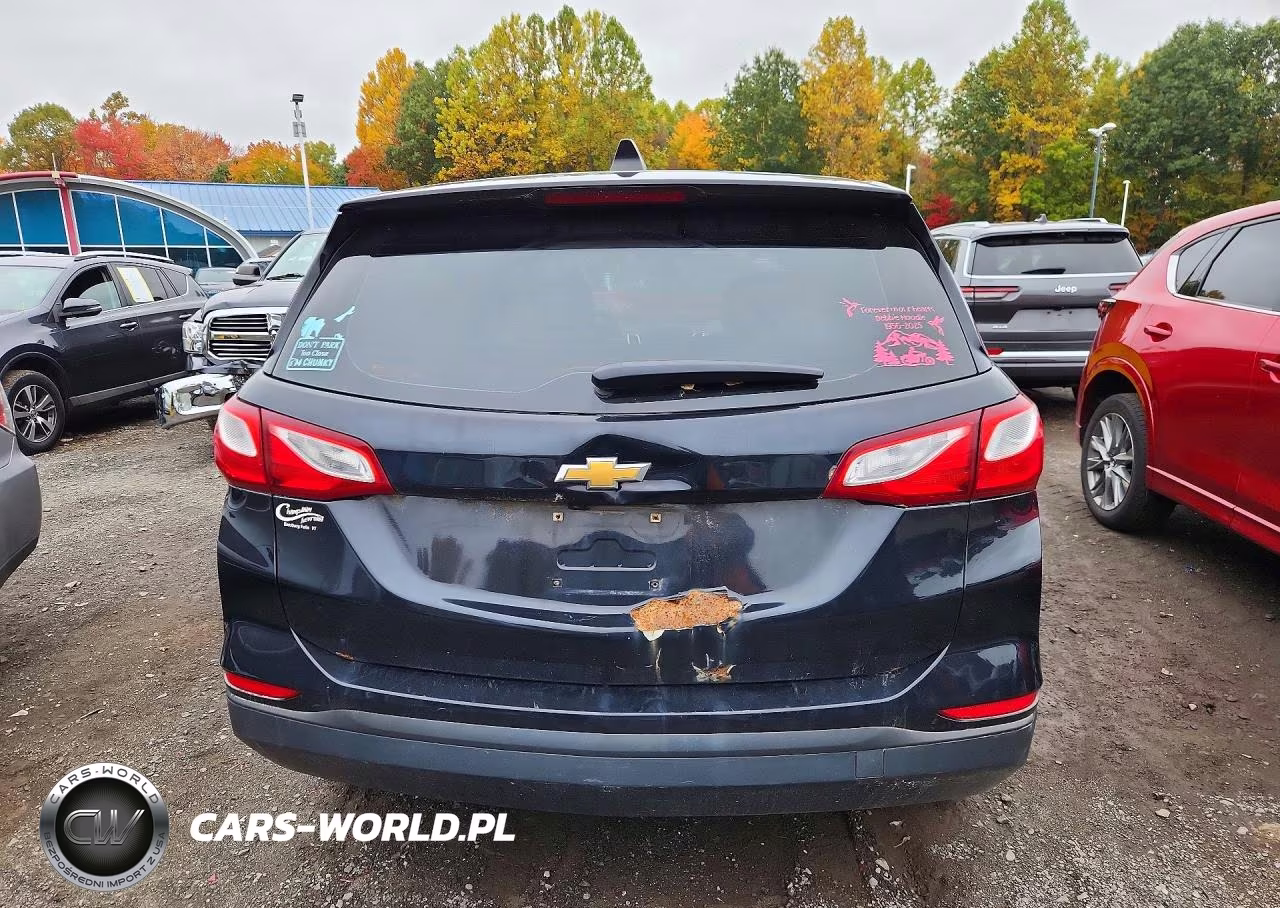 2019 Chevrolet Equinox Ls VIN:2GNAXSEV4K6144653 - 6