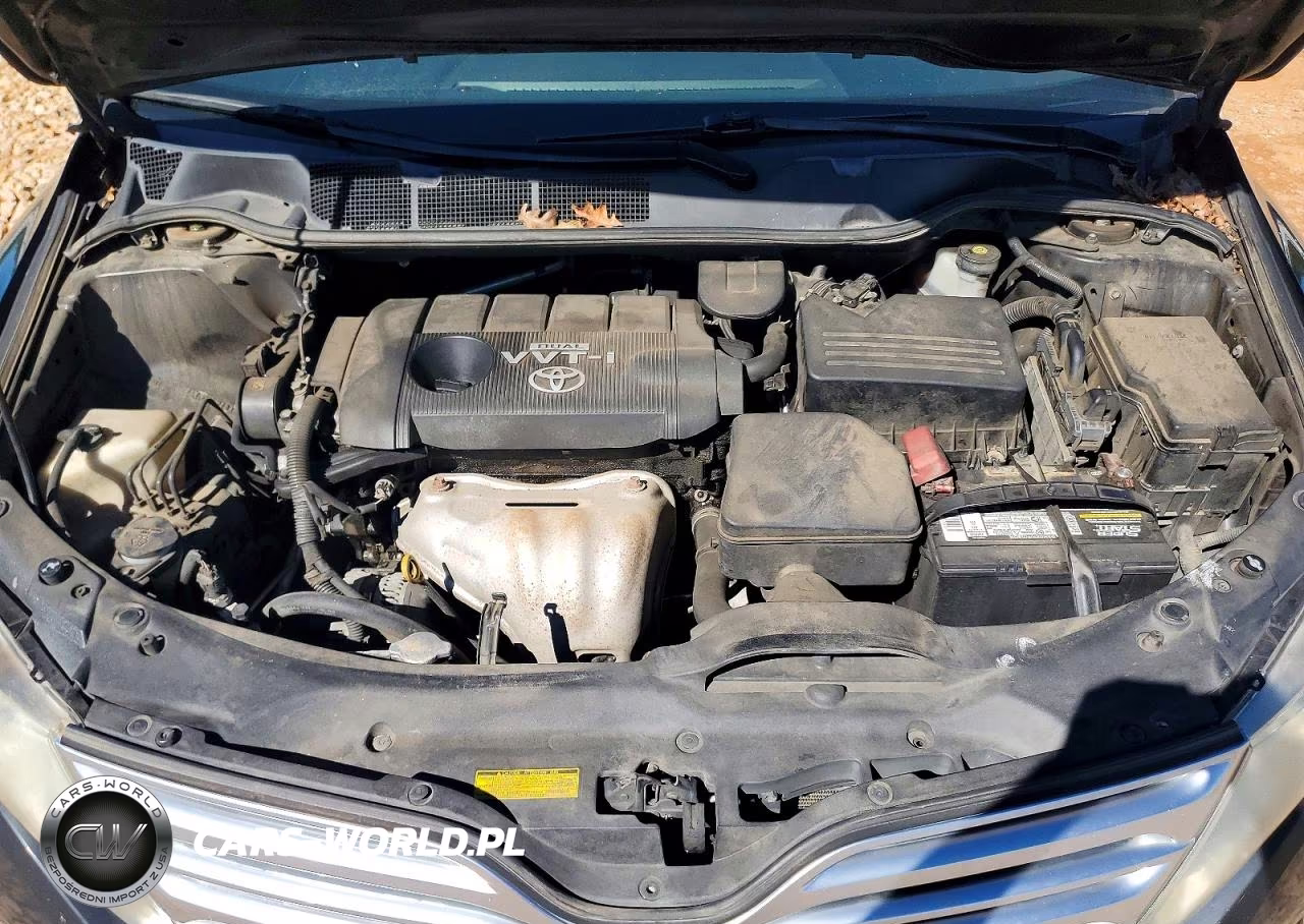 2009 Toyota Venza Fwd 4Cyl VIN:4T3ZE11A29U008342 - 12