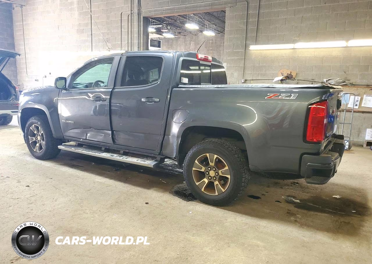 2016 Chevrolet Colorado Z71 VIN:1GCGTDE39G1366995 - 2