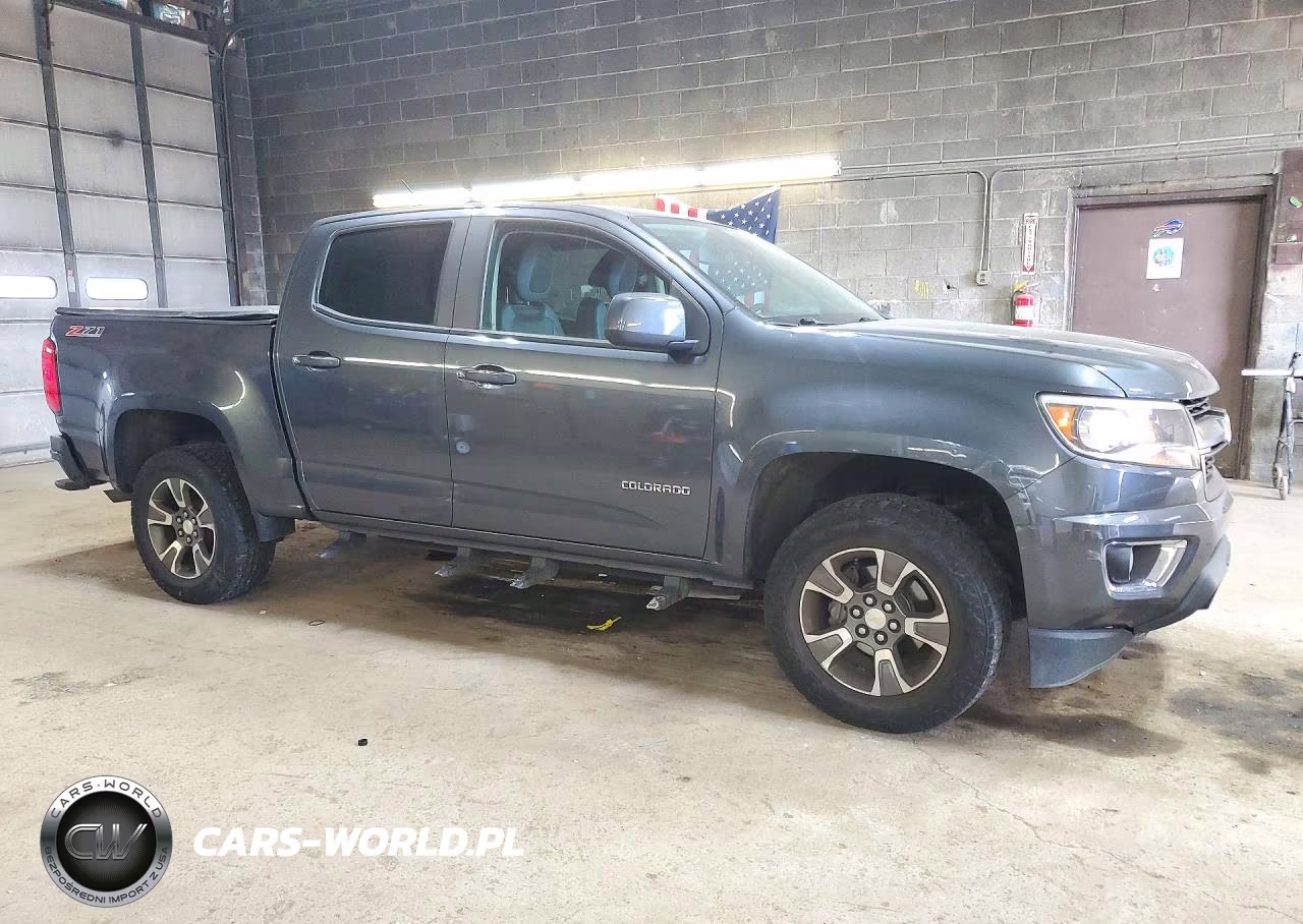 2016 Chevrolet Colorado Z71 VIN:1GCGTDE39G1366995 - 4