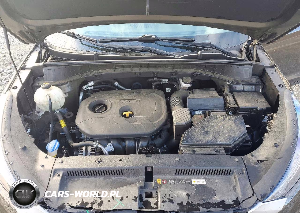 2019 Hyundai Tucson Value VIN:KM8J3CA41KU055773 - 12
