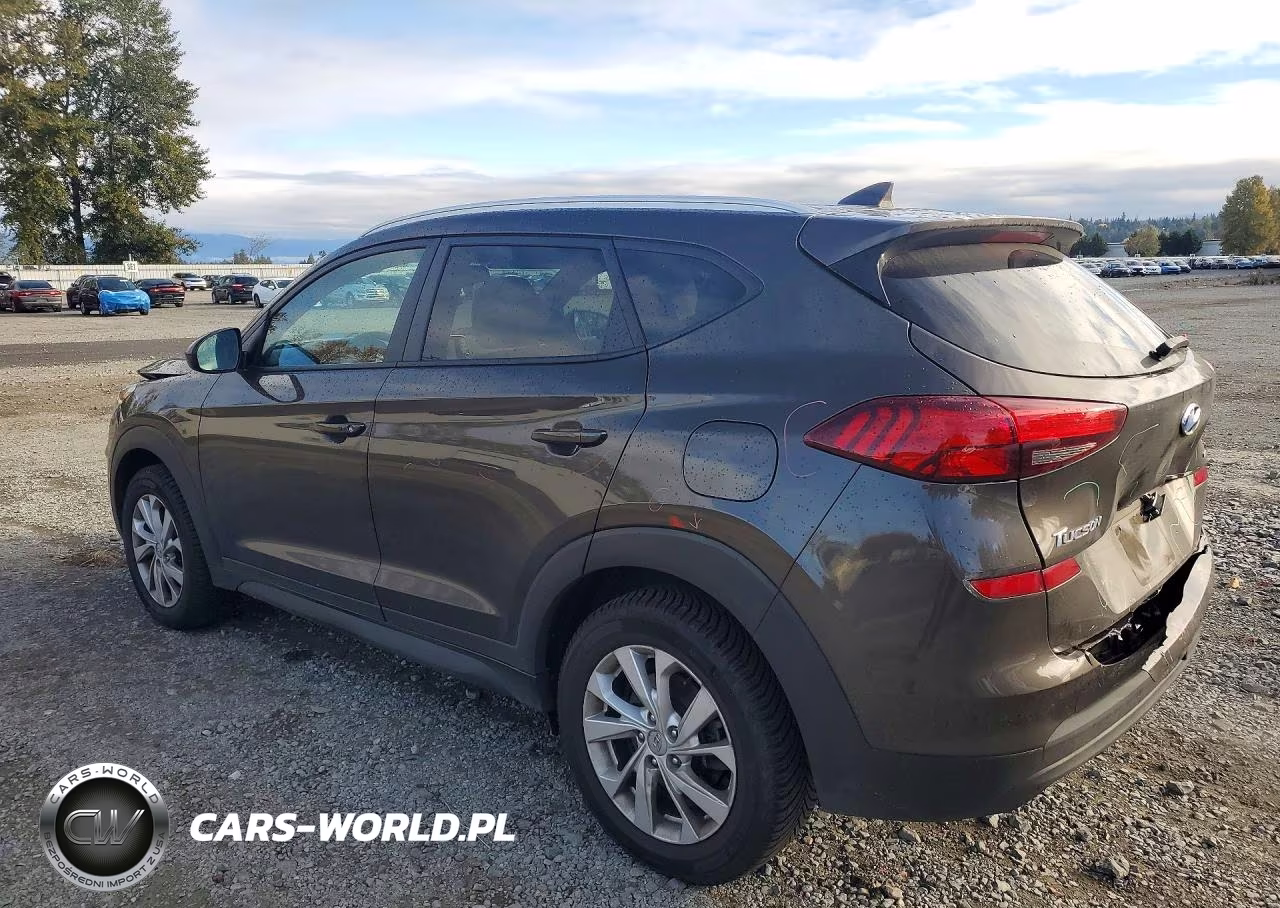2019 Hyundai Tucson Value VIN:KM8J3CA41KU055773 - 2