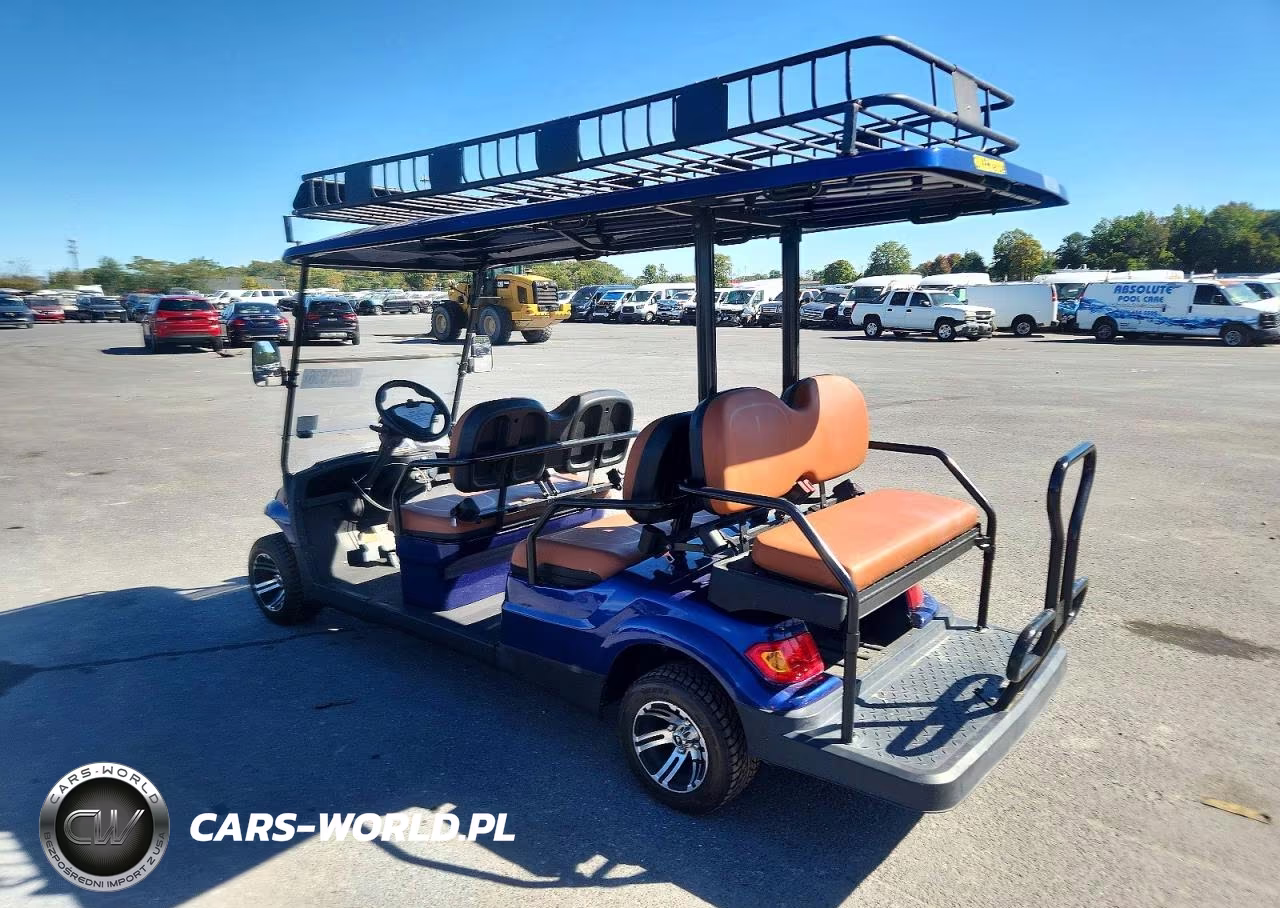 2021 Advanced Ev Low Speed Car Golf Cart VIN:7LWDFAD01M1044979 - 3