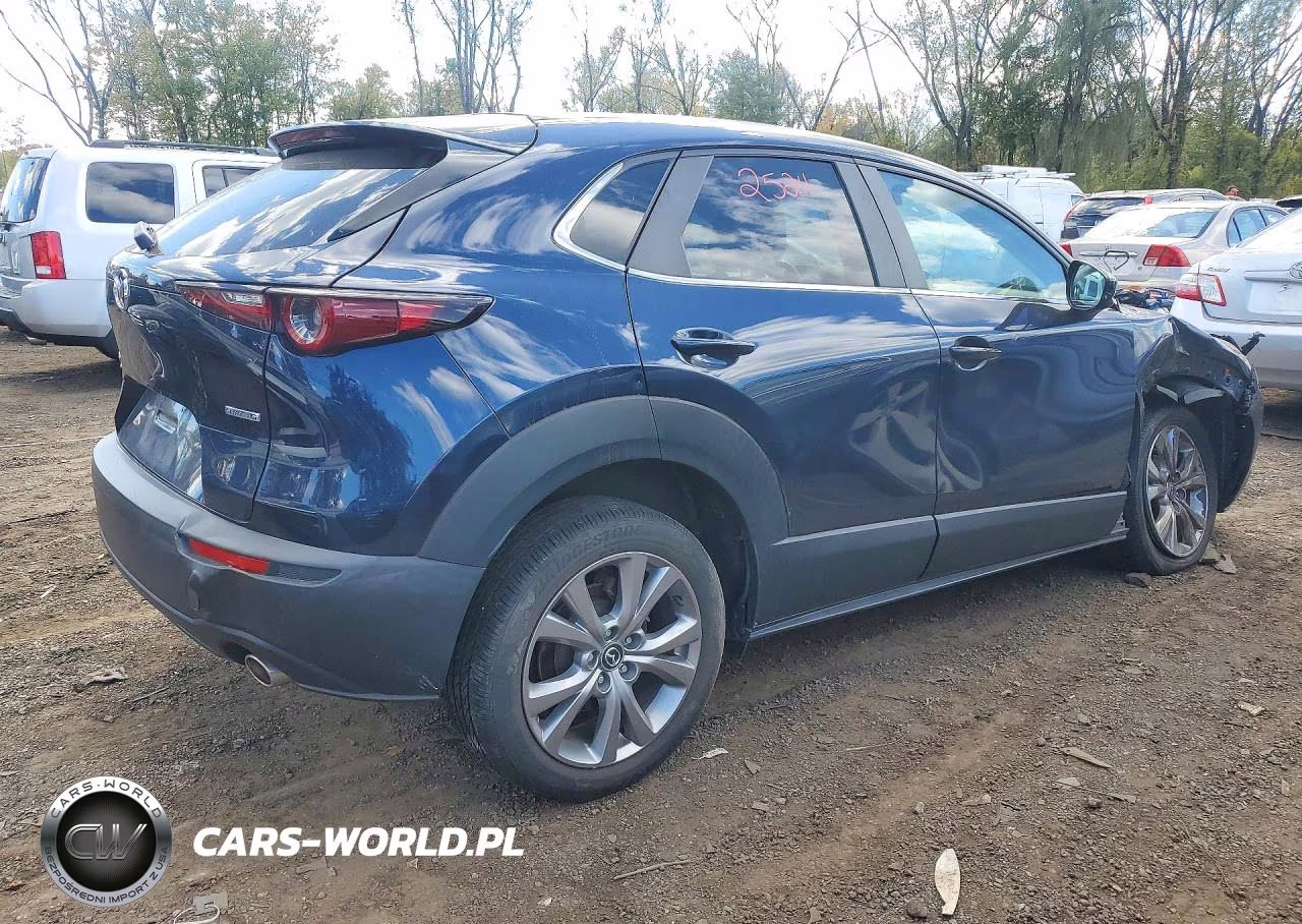 2021 Mazda Cx-30 Preferred VIN:3MVDMBCL9MM249440 - 3