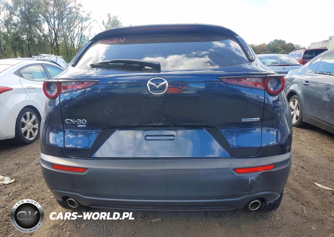 2021 Mazda Cx-30 Preferred VIN:3MVDMBCL9MM249440 - 6