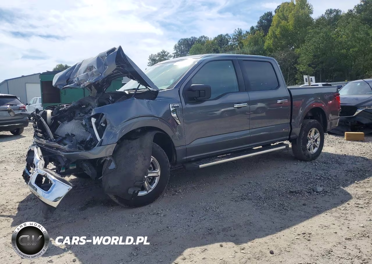 2025 Ford F150 Xlt