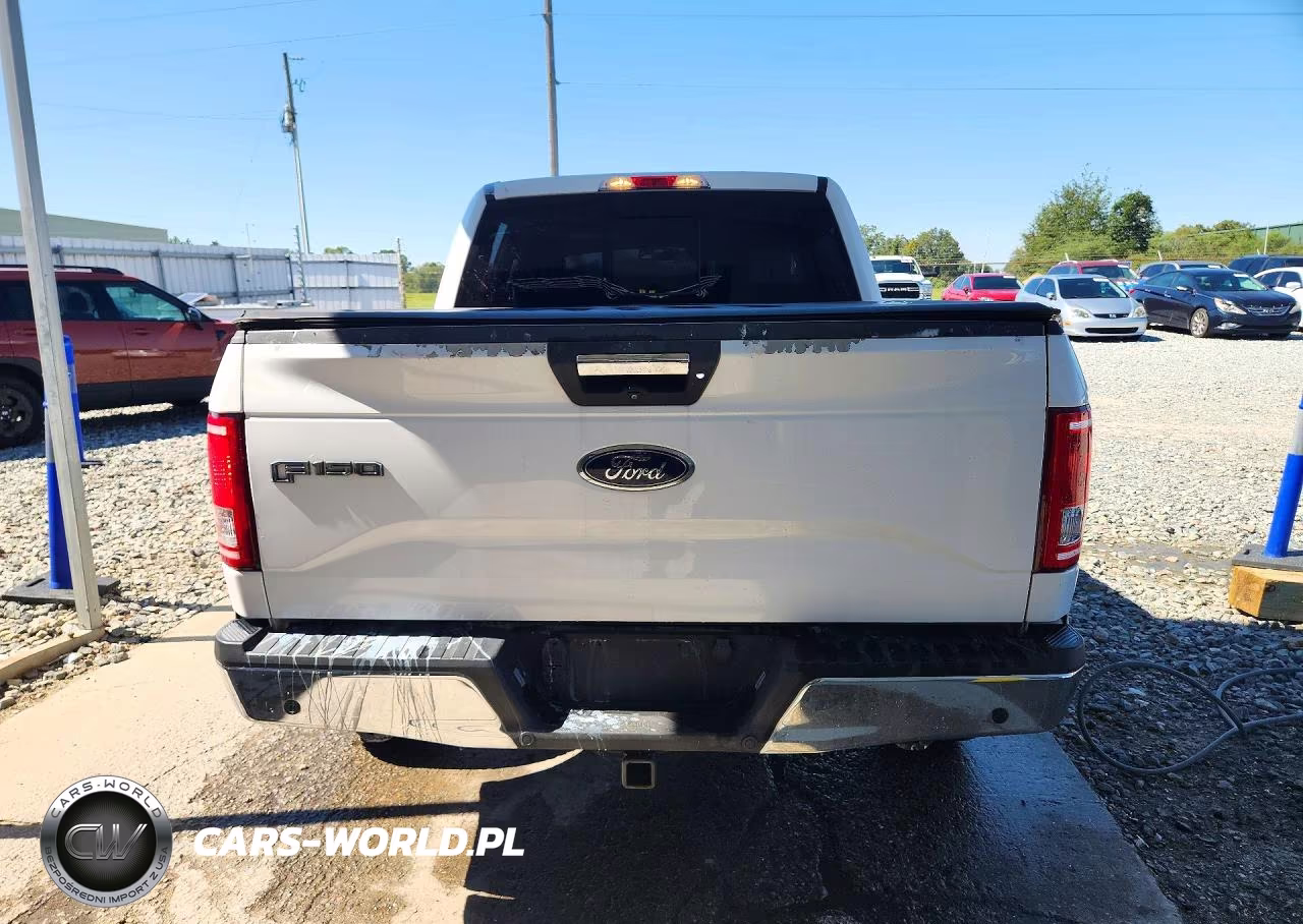 2017 Ford F150 Supercrew VIN:1FTEW1C81HKD49308 - 6