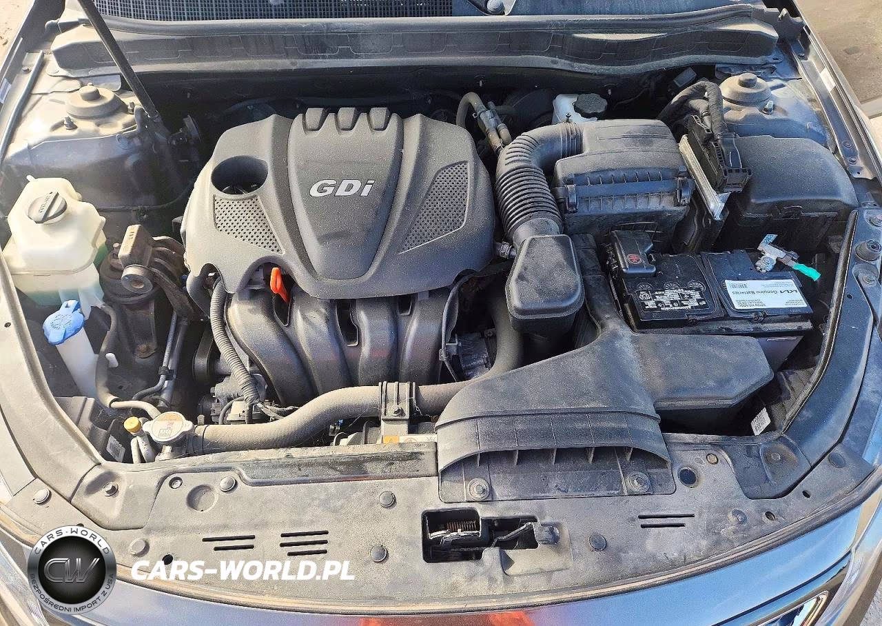 2014 Kia Optima Lx VIN:5XXGM4A79EG334684 - 11
