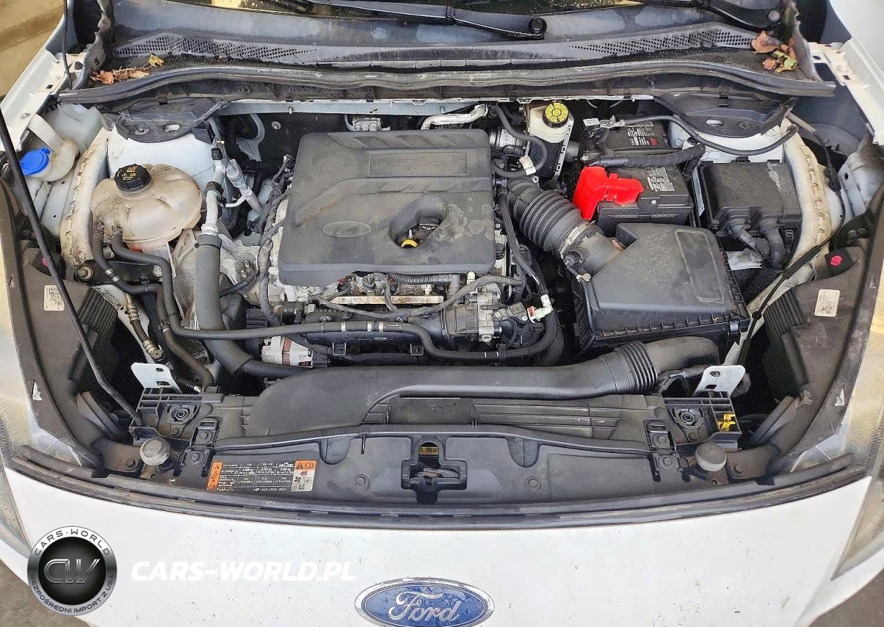 2020 Ford Escape Sel VIN:1FMCU9H60LUA12012 - 11