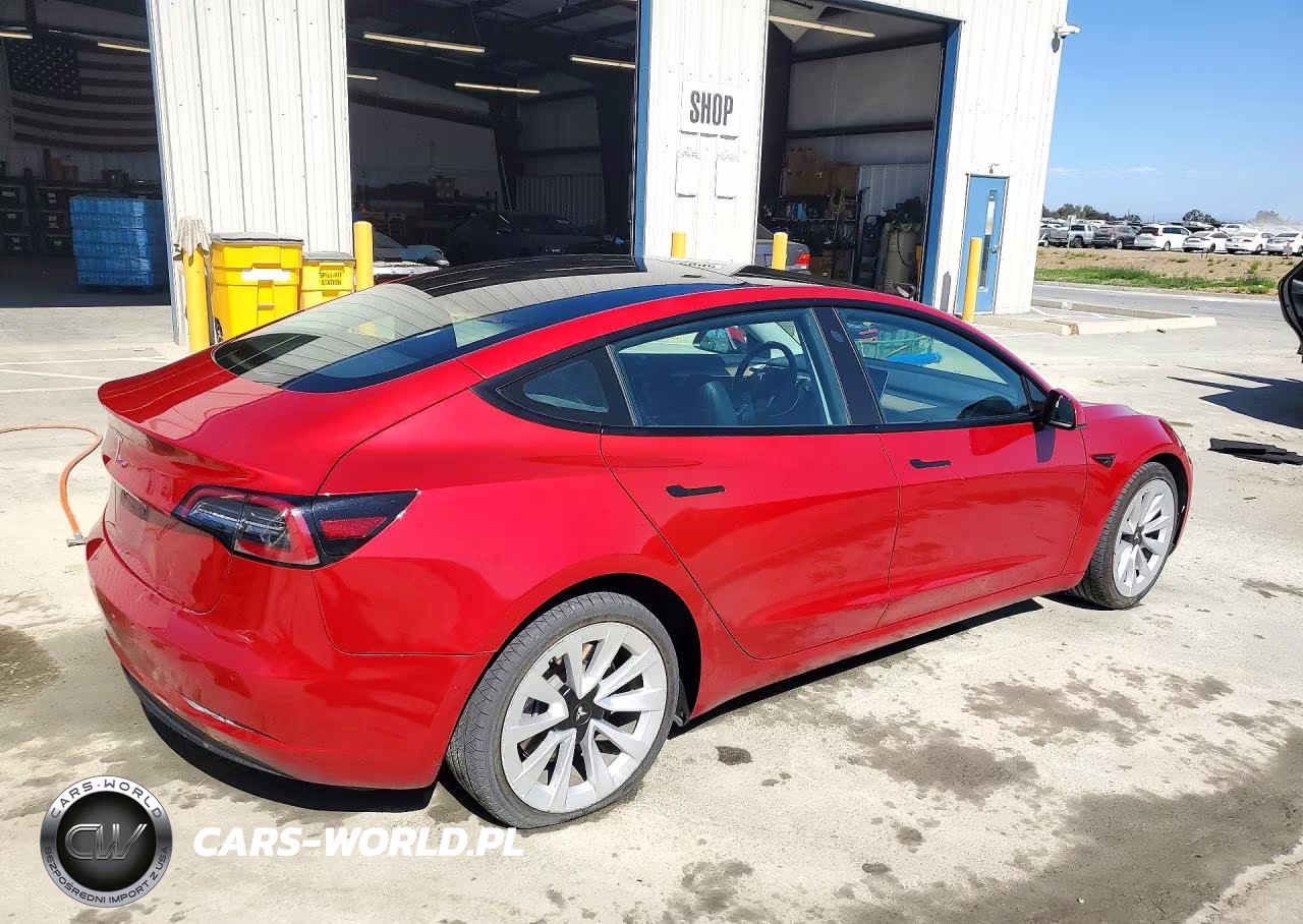 2022 Tesla Model 3 VIN:5YJ3E1EAXNF303978 - 3