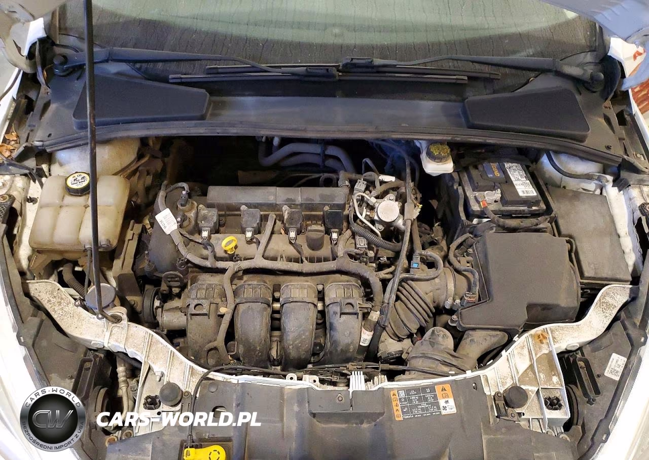 2017 Ford Focus S VIN:1FADP3E20HL332917 - 11