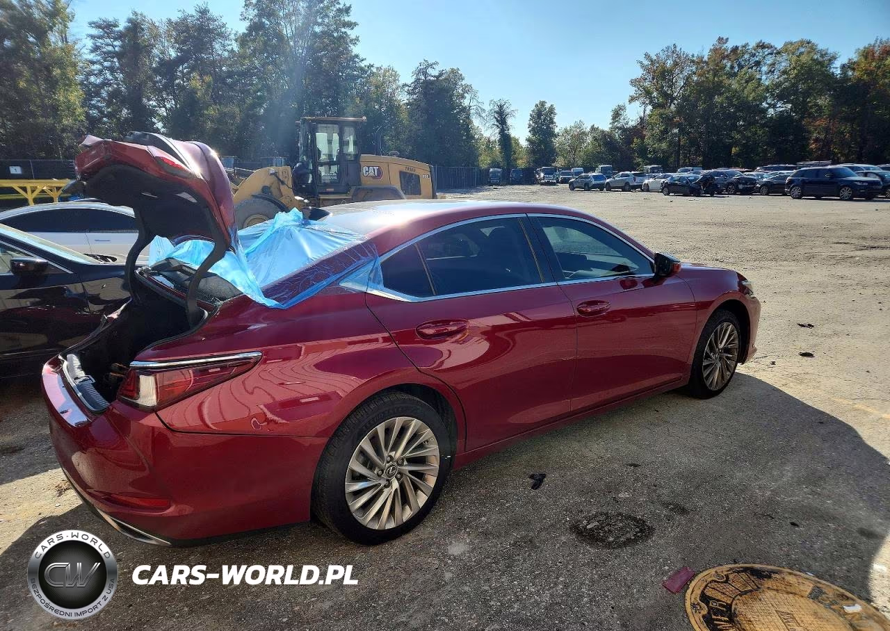 2020 Lexus Es 350 Luxury VIN:58AEZ1B12LU070687 - 12