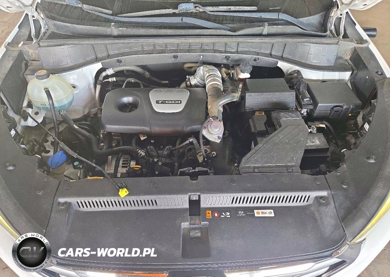 2017 Hyundai Tucson Eco VIN:KM8J33A22HU396414 - 12