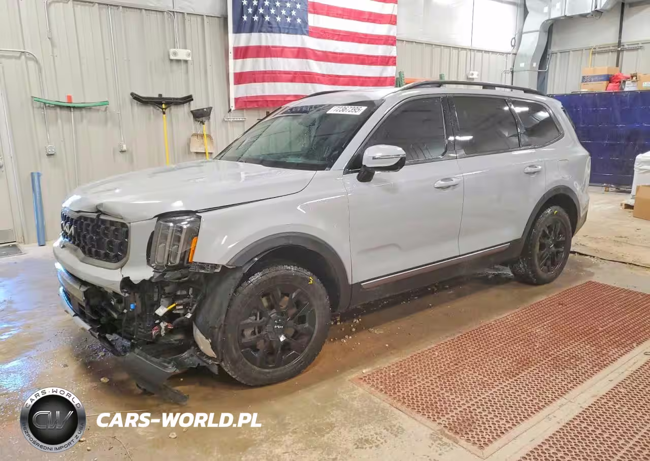 2023 Kia Telluride Sx