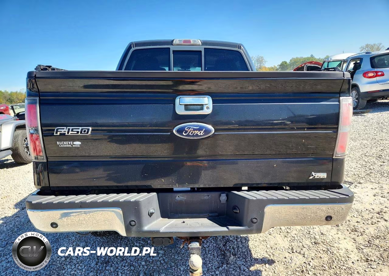 2010 Ford F150 Supercrew VIN:1FTFW1EV4AFB68063 - 6