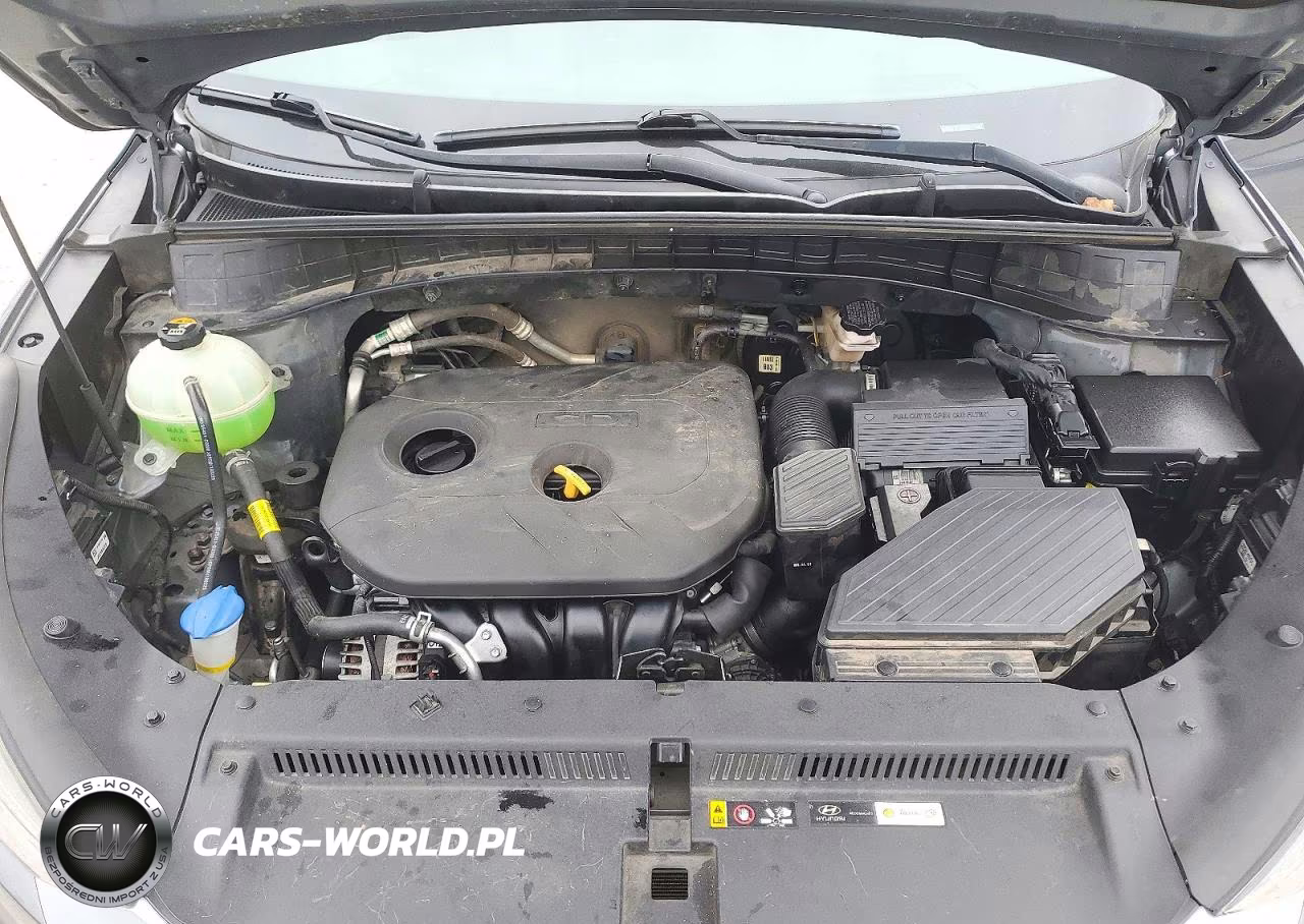 2019 Hyundai Tucson Se VIN:KM8J2CA4XKU987408 - 12